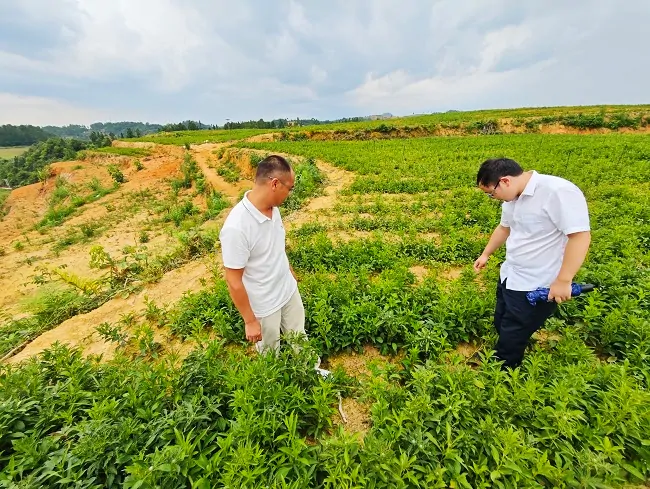 百姓银行有&ldquo;温度&rdquo;  金融服务润心田