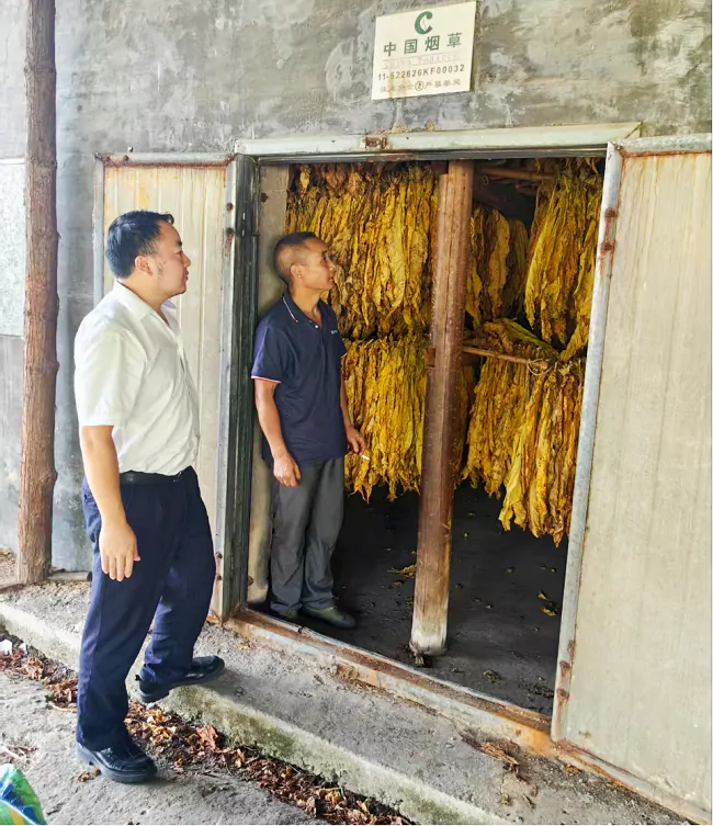 图为:农信社工作人员贷后回访喜获丰收的烟农.png