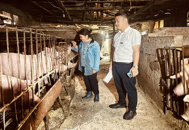 黔东南农信：滴灌山乡烟火 守护万家生计