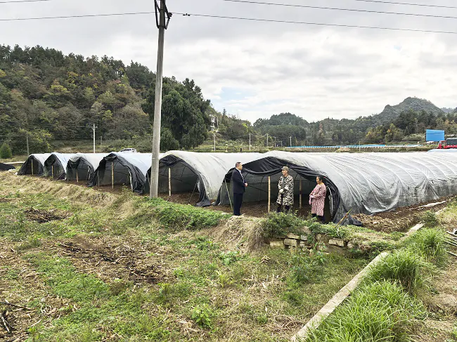 镇远农商银行：金融&ldquo;活水&rdquo;精准滴灌，奏响秋冬种植&ldquo;进行曲&rdquo;