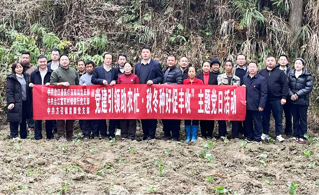 党建引领助农忙  秋冬种好促丰收
