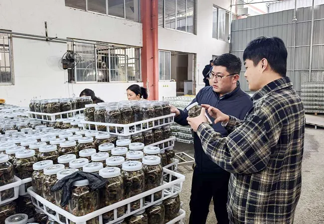 金融服务下沉一线  精准赋能小微企业