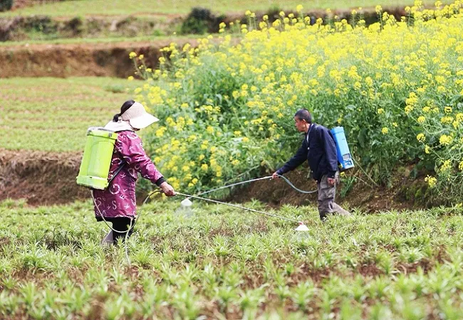 工行岑巩支行：金融活水&ldquo;滴灌&rdquo;百合产业  百亩良田绘振兴&ldquo;丰&rdquo;景
