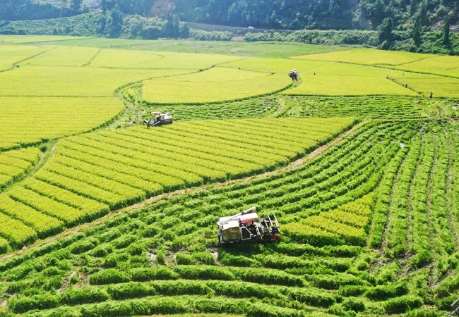 躬耕沃土践初心   足印乡村兴黔行