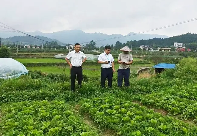 深耕乡土惠民生 金融助农暖人心