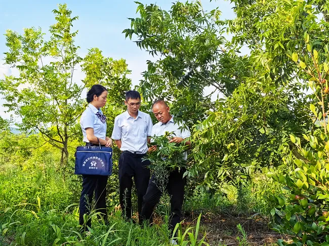 锦屏农信联社：上门走访纾困解忧  精准赋能企业稳健发展