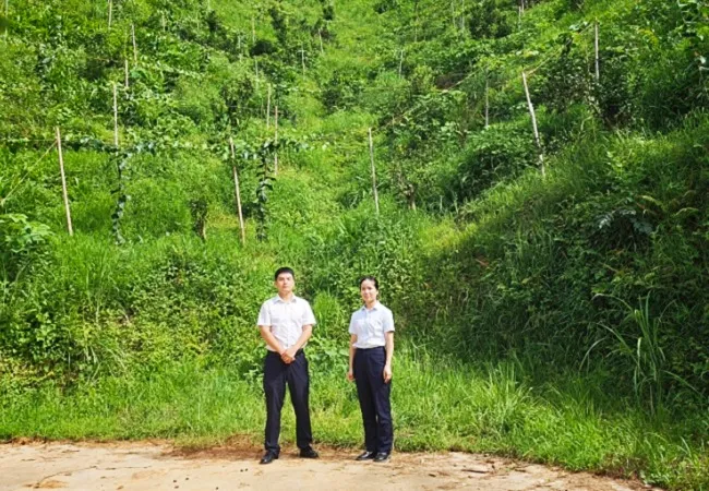 工行榕江支行：&ldquo;种植e贷&rdquo;助力精品果蔬绘就致富新图景
