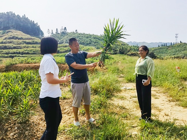 图为：黎平农商银行工作人员到生姜种植基地走访调查.jpg
