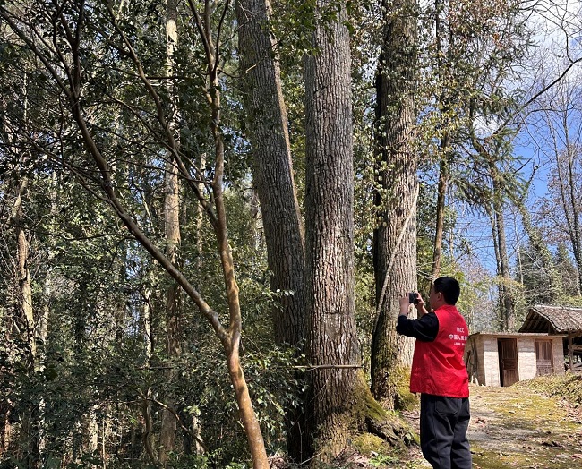 人保财险黔东南分公司： 开展精准验标 护航产业发展