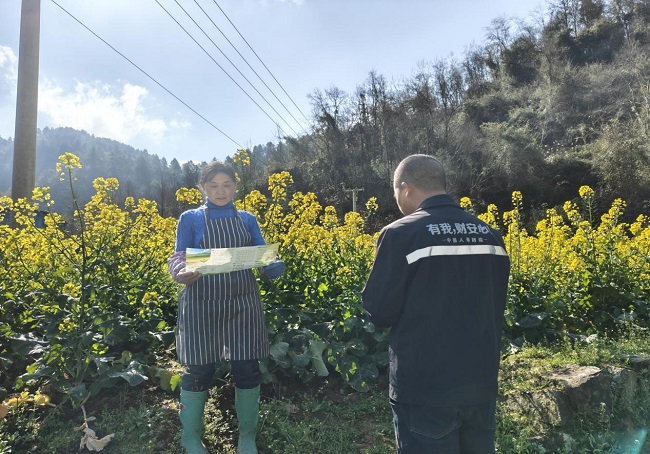 国寿财险黄平县支公司2026年油菜承保工作纪实：扎根田野办实事 保险托底暖民心