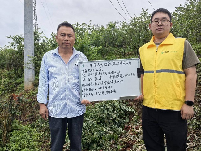 黔东南州首单蓝莓种植综合气象指数保险落地麻江&nbsp;多方协同护航特色产业发展