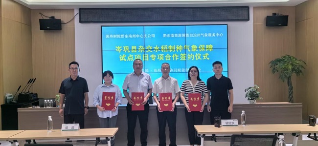 1781506234892349.jpg 图片2.jpg