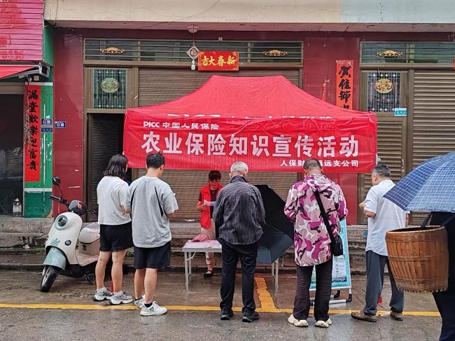 人保财险黔东南镇远支公司：开展农业保险进乡镇宣传